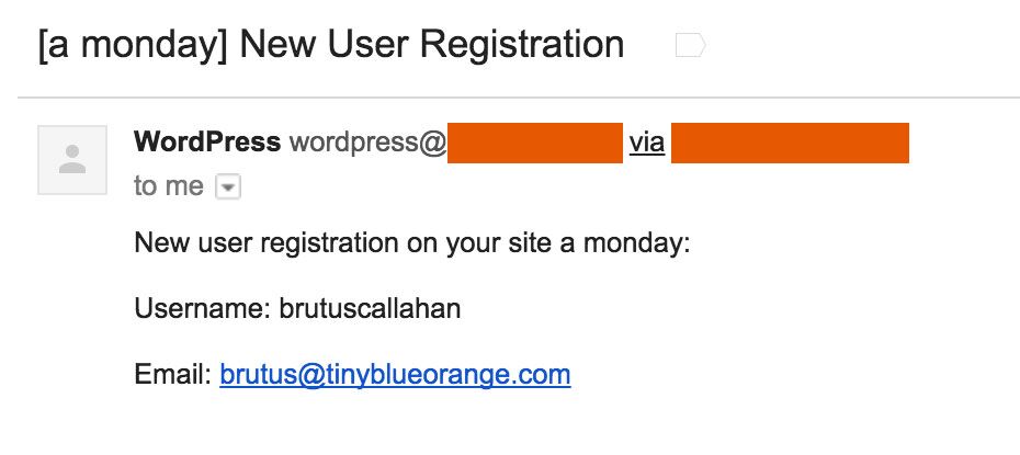 WordPress new user registration email example // tiny blue orange